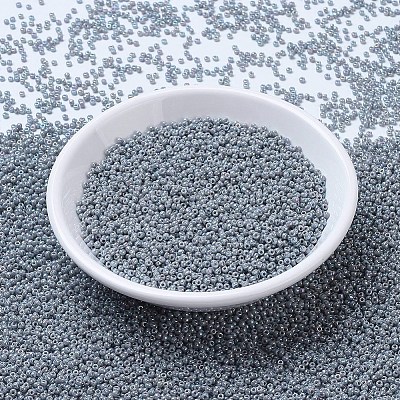 MIYUKI Round Rocailles Beads X-SEED-G007-RR0489-1