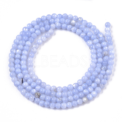 Natural Freshwater Shell Beads Strands BSHE-T009-01B-1