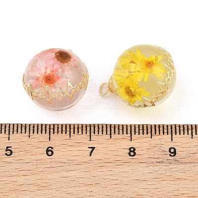 Brass Resin Pendants RE-CBA591C-04G-1