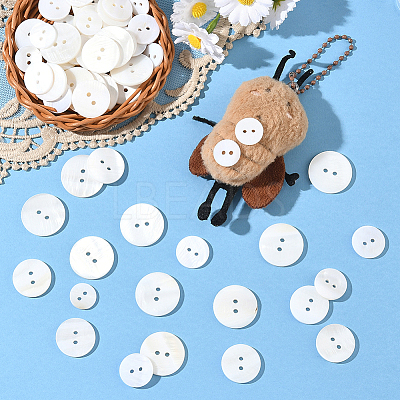 60Pcs 4 Styles Shell Buttons BUTT-SP0001-17-1