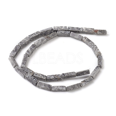 Natural Map Stone/Picasso Stone/Picasso Jasper Beads Strands G-G837-05-1