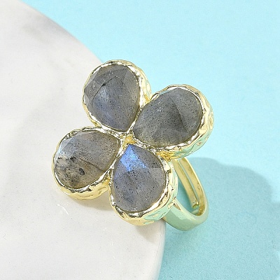 Natural Labradorite Faceted Adjustable Finger Rings for Women RJEW-A092-01G-12-1