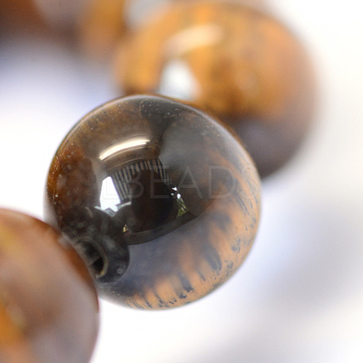 Grade AB Natural Tiger Eye Round Bead Strands X-G-E334-6mm-17-1