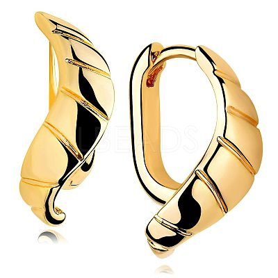 Brass Hoop Earrings FS-WG6F7A1-06-1