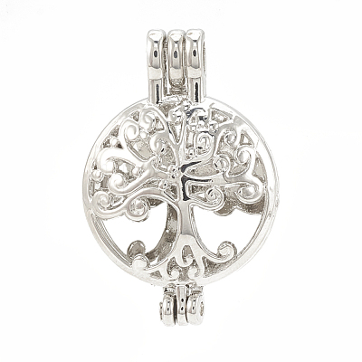 Alloy Locket Pendants PALLOY-S062-54P-1