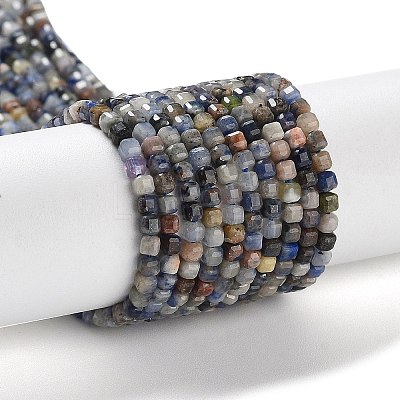 Natural Sodalite Beads Strands G-J400-A06-01-1