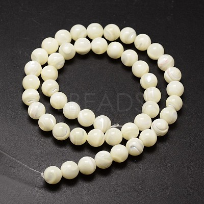 Shell Beads Strands SSHEL-E571-39-6mm-1