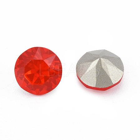 K9 Glass Rhinestone Cabochons MRMJ-N029-16-02-1