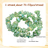 1 Strand Electroplated Natural Quartz Beads Strands G-PA0001-18C-2