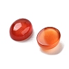 Dyed & Heated Natural Carnelian Cabochons G-G145-01A-23-2