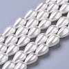 Polished Shell Pearl Beads Strands X-BSHE-L042-A02-1