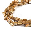 Dyed Natural Freshwater Shell Beads Strands SHEL-P016-01A-3
