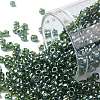 TOHO Round Seed Beads X-SEED-TR08-0119-1