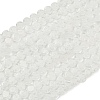 Handmade Millefiori Glass Flat Round Bead Strands LK-P010-05-1
