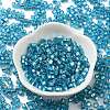 Glass Seed Beads SEED-M011-01A-14-2
