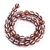 Tibetan Style dZi Beads Strands G-C133-A05-03-3