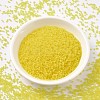MIYUKI Delica Beads SEED-J020-DB0743-2