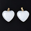 Spray Painted Glass Pendants GLAA-N035-016-A02-A-2