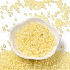 Glass Seed Beads SEED-H002-H-1302-2