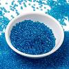 MIYUKI Round Rocailles Beads SEED-G008-RR0148D-2