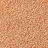 TOHO Round Seed Beads SEED-XTR11-0301-2