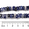 Natural Sodalite Beads Strands G-Q167-B06-01-5