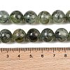 Natural Prehnite Beads Strands G-P322-48-12mm-7