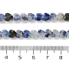 Natural Blue Spot Jasper Beads Strands G-M403-A21-02-5