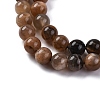 Natural Black Moonstone Beads Strands G-A219-A01-02-8