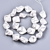 Electroplated Natural Freshwater Shell Beads Strands SHEL-R113-01F-2