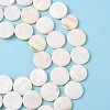 Natural Freshwater Shell Beads X-S00C20W3-2
