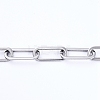 Non-Tarnish 304 Stainless Steel Paperclip Chains CHS-D031-03P-2