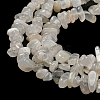Natural Moonstone Beads Strands G-G0003-B42-3