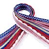 18 Yards 6 Styles Independence Day Polyester & Polycotton Ribbons Sets SRIB-A015-02B-02-2