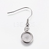 Stainless Steel Dangle Earrings LS-EJEW-WH0001-A05-1