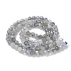 Natural Labradorite Beads Strands G-L651-C11-4mm-3