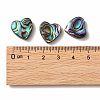 Abalone Shell/Paua Shell Beads LS-SHEL-T005-01-4
