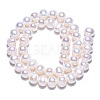 Natural Cultured Freshwater Pearl Beads Strands PEAR-N013-08F-4