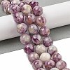 Natural Lepidolite/Purple Mica Stone Beads Strands G-G160-A01-03-2