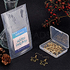Long-Lasting Plated Brass Earring Hooks KK-BC0006-06G-NF-5