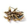 Holloween Spider Alloy Rhinestone Brooches JEWB-S023-02D-2