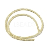 Natural Trochus Shell Rondelle Beads Strands SSHEL-H072-01A-2