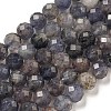 Natural Iolite Beads Strands G-J400-E05-02A-1