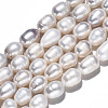 Natural Cultured Freshwater Pearl Beads Strands PEAR-S017-007-3