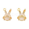 Brass Micro Pave Clear Cubic Zirconia Charms KK-N231-389-2