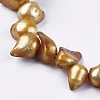 Natural Baroque Pearl Keshi Pearl Beads Strands BSHE-P026-32-3