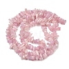 Natural Kunzite Beads Strands G-P597-A01-01-3