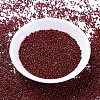 MIYUKI Delica Beads SEED-MY11-DB2120-2