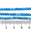 Natural Howlite Beads Strands G-C025-02B-10-5