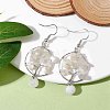 Natural Gemstone Dangle Earrings EJEW-JE05747-4